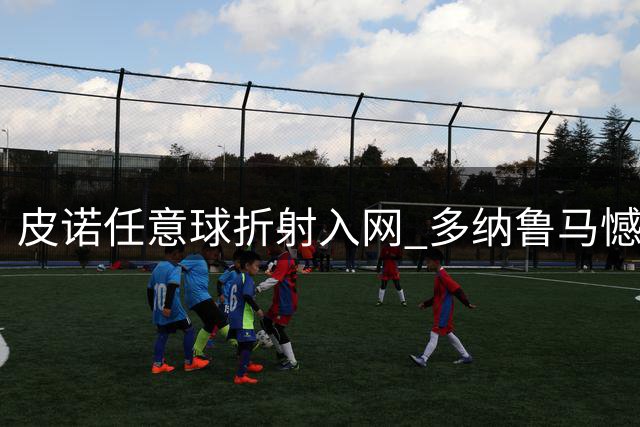 皮诺任意球折射入网 多纳鲁马憾送乌龙大礼